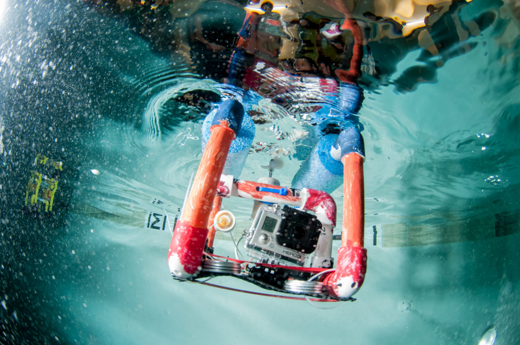 An remotely operated underwater vehicle just below the surface of the water.