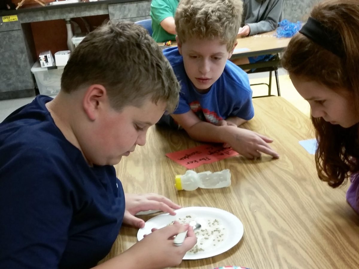 Three students at a table are intently looking at small items on plates. There is another table of students in the background.