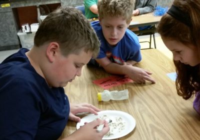 Three students at a table are intently looking at small items on plates. There is another table of students in the background.