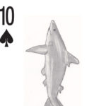 A ten of clubs card with a drawn shark.