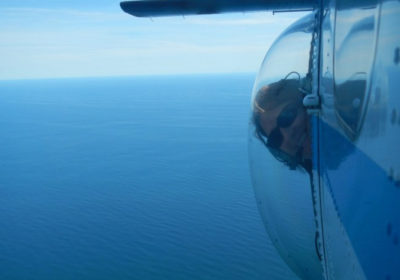 A woman looking out an aircraft bubble window.
