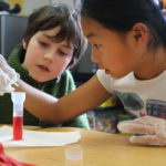 Two students perform measurements on simulated turtle blood activity.