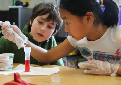 Two students perform measurements on simulated turtle blood activity.
