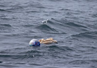 Global Drifter Buoy in the Atlantic Ocean.