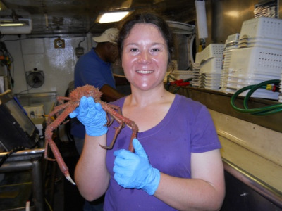 A woman holds a long legged crab