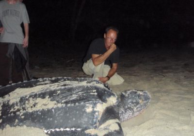 A man and a woman look at a huge leatherback turtle lying in the sand.