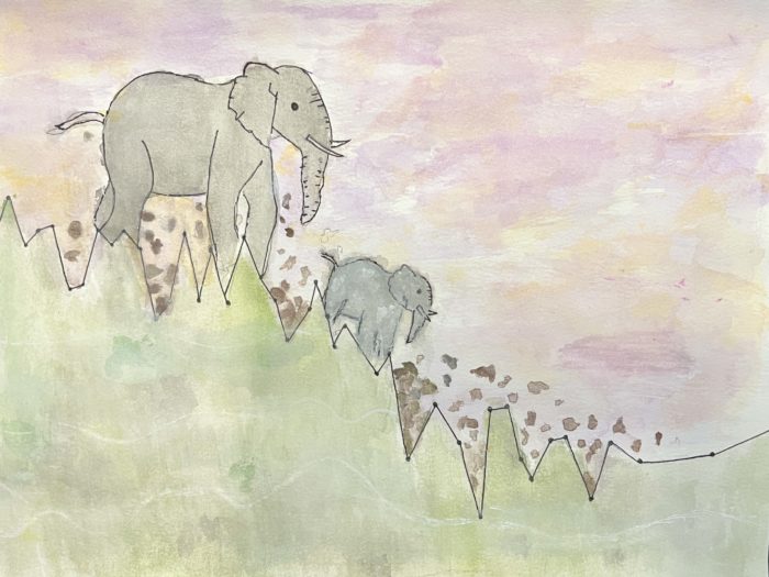 A watercolor graph that depicts declining elephant population.