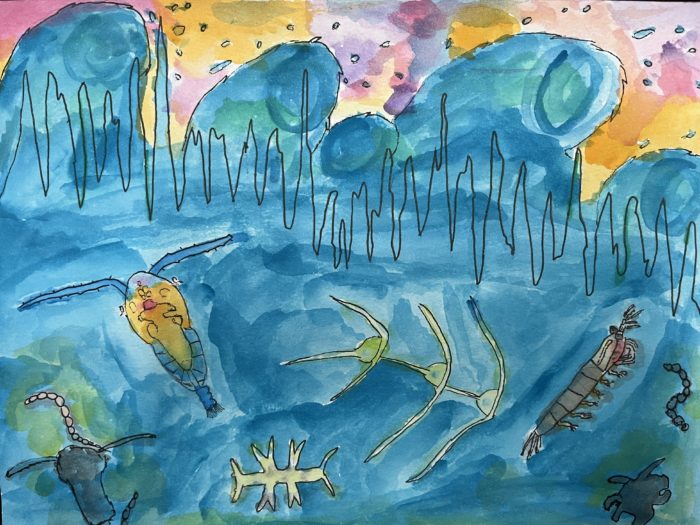 A watercolor graph that depicts plankton population. Imagery includes ocean waves and various plankton species.