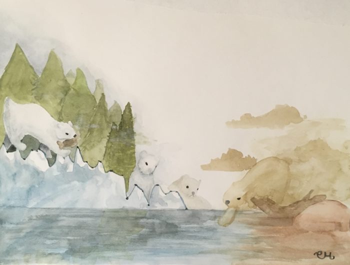 A watercolor painting depicting polar bears at the water's edge. The shore is represented a line graph.