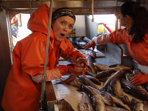 A woman wearing orange rain slickers standing in front of a conveyor belt of fish holds up a pollock.