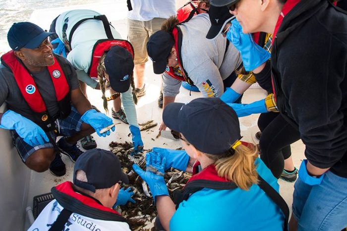 A group of people bending over a pile of fish and other marine organisms to sort them.