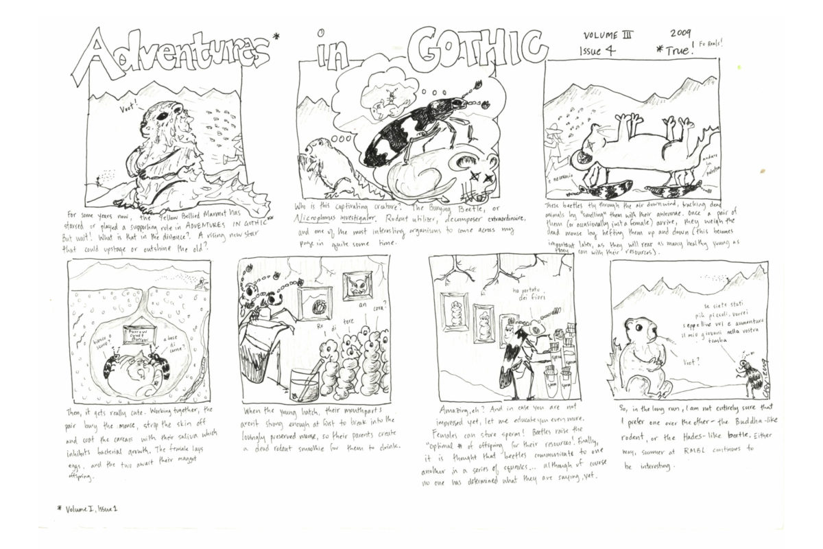 A hand-drawn seven panel cartoon called "Adventures in Gothic" feature animals and insects from a biological laboratory in Gothic, Colorado.
