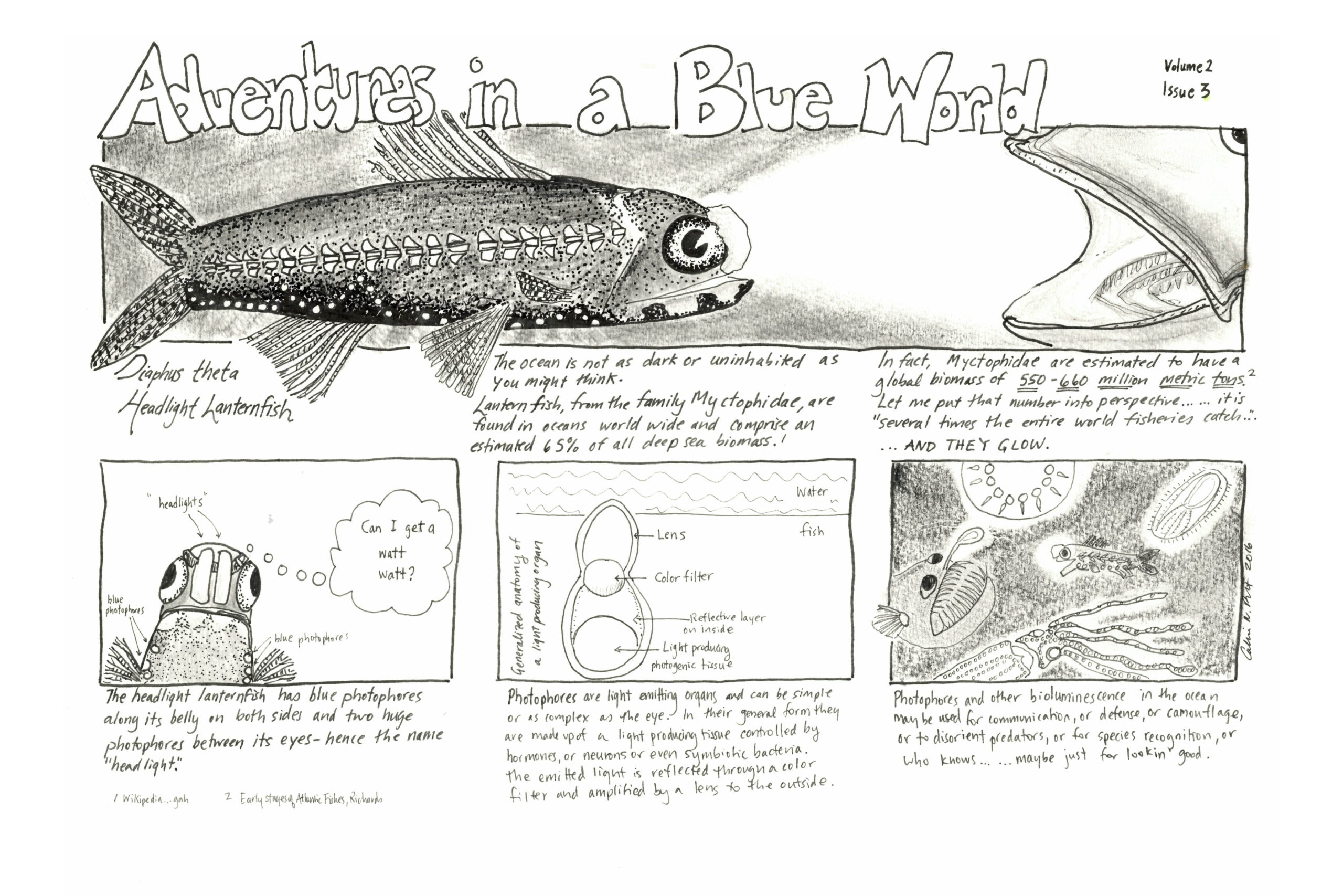 A four-panel cartoon entitled "Adventures in a Blue World" featuing images of a lanternfish and other deep sea creatures the are bioluminescent.