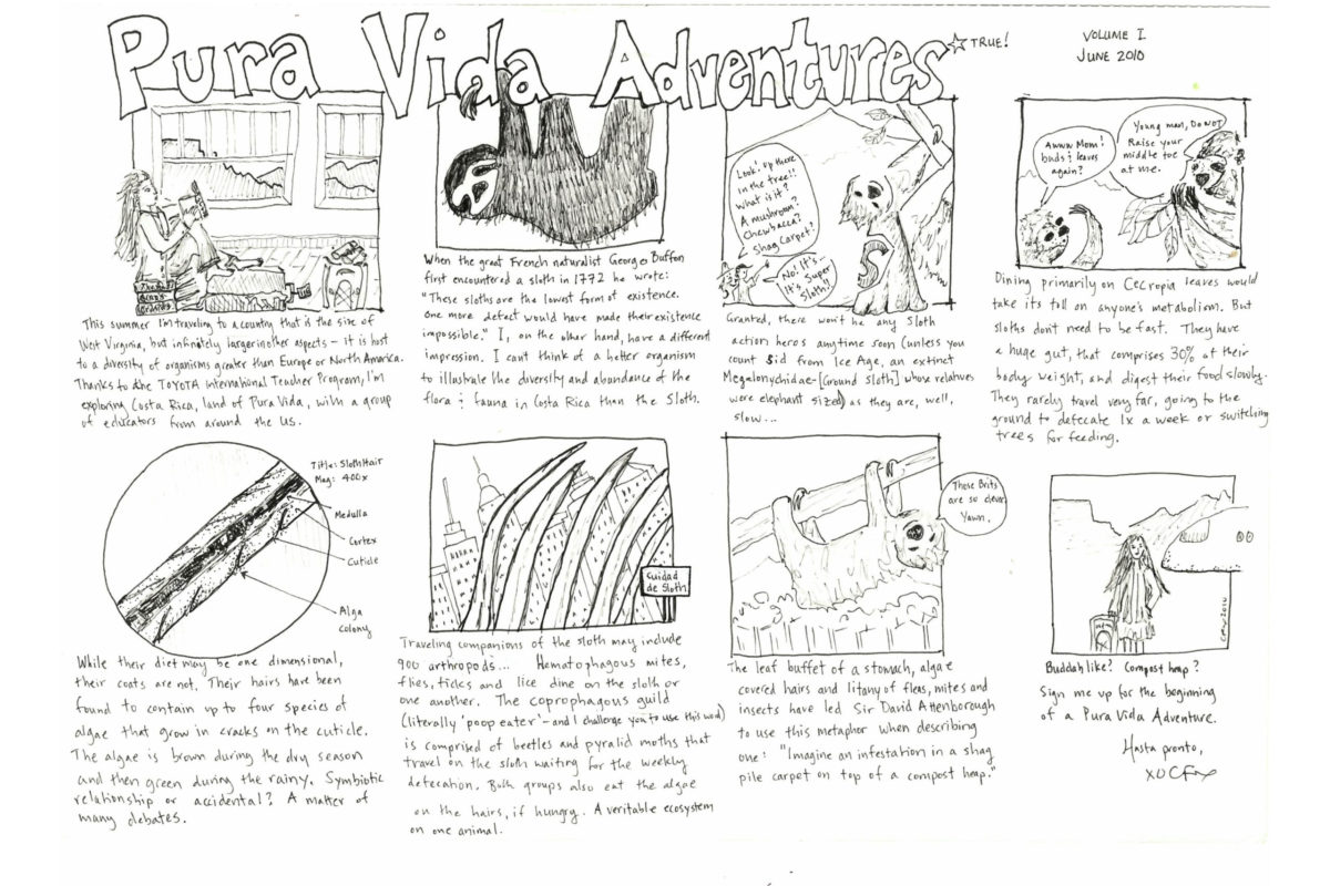 An eight-panel cartoon entitled "Pura Vida Adventures" featuring images of a sloth and describing adventures in Costa Rica.