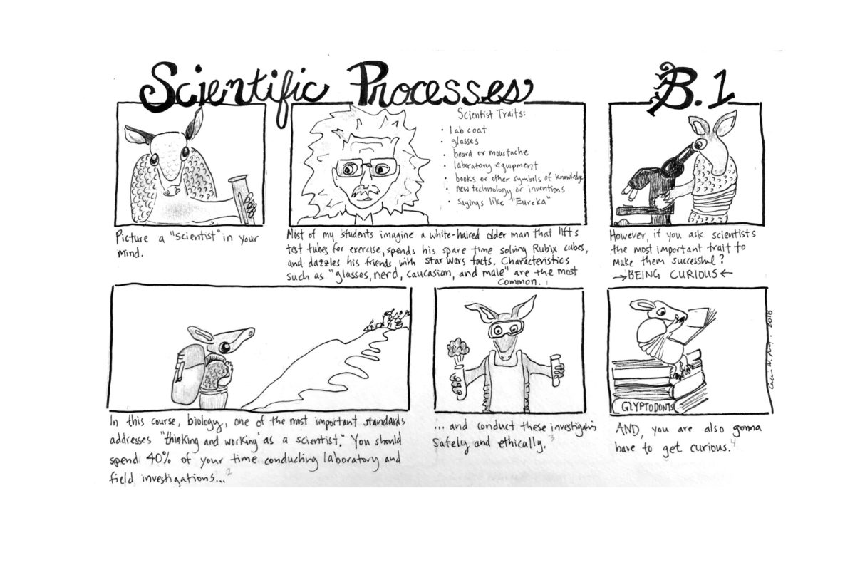A six-panel cartoon called "Scientific Processes" depicting and armadillo and Albert Einstein.