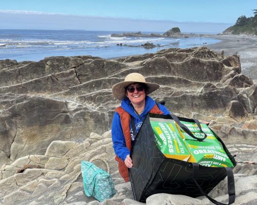 A person with sunglasses and a sun hat is standing on a rocky beach. They are holding a large bag of Subway sandwiches. The ocean and a clear sky with scattered clouds appear in the background. There is also a small turquoise bag on the rocks beside them.