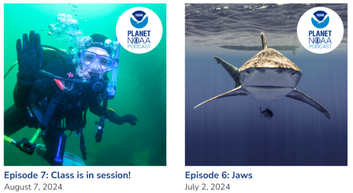 A promotional image for the Planet NOAA Podcast featuring Episode 7 titled "Class is in session!" with an underwater diver, and Episode 6 titled "Jaws" with a close-up of a shark. Episode 7 airs on August 7, 2024, and Episode 6 on July 2, 2024.