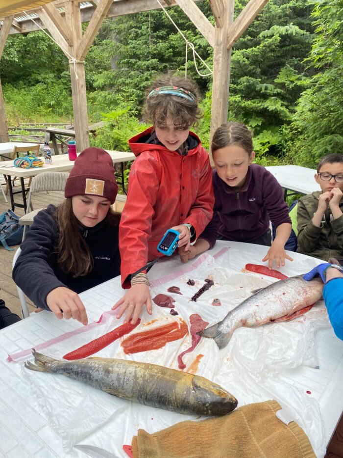 A group of children examines fish and fish roe laid out on a white table under a wooden shelter. They point and touch the various items while engaging with each other. Trees and greenery are visible in the background, suggesting an outdoor learning activity.