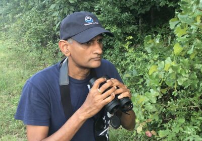 A person wearing a blue cap and shirt holds binoculars near dense green foliage, appearing focused. They have a black camera strap around their neck. The setting is outdoors with lush trees and plants in the background.