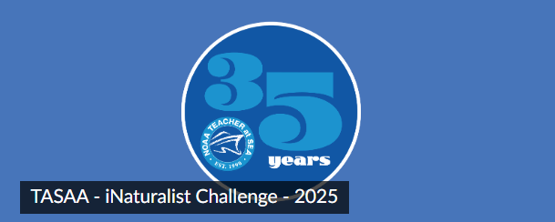 Blue background with a circular logo displaying "35 years" and a dolphin illustration. Text at the bottom reads "TASAA - iNaturalist Challenge - 2025".