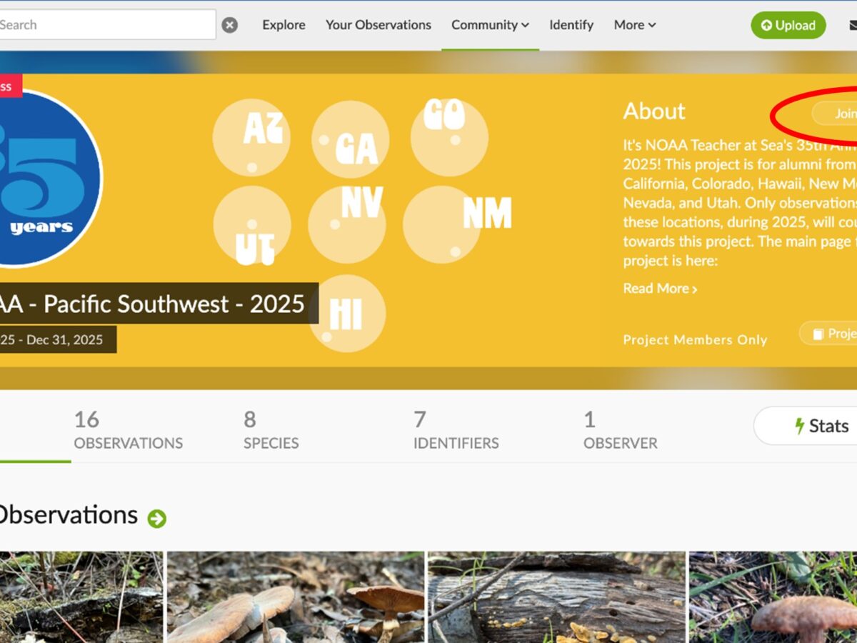 Screenshot of a Naturalist project page for "TASAA - Pacific Southwest - 2025." The page shows the project's region, a yellow banner with a map, and the number of observations, species, and participants. Recent observations are displayed below.