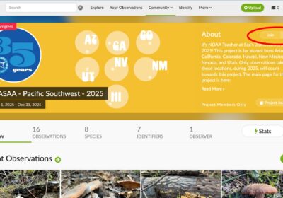 Screenshot of a Naturalist project page for "TASAA - Pacific Southwest - 2025." The page shows the project's region, a yellow banner with a map, and the number of observations, species, and participants. Recent observations are displayed below.