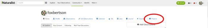 Screenshot of the iNaturalist profile page for a user named "foxbertson." A red circle highlights the "Projects" tab in the navigation menu. Options for activities like Profile, Observations, and Calendar are visible.
