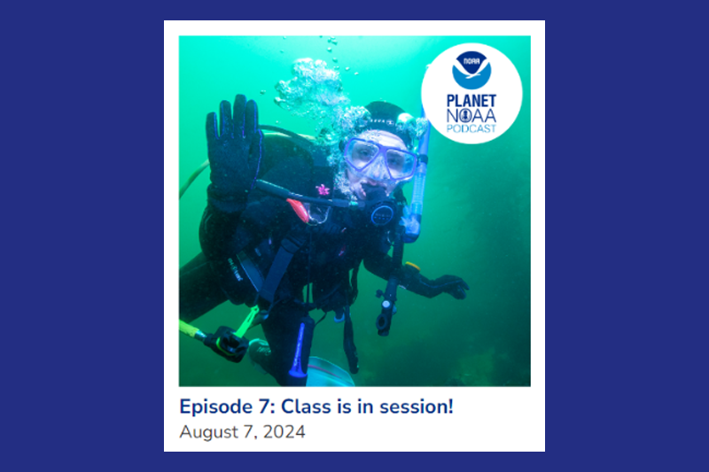 A scuba diver waves underwater, surrounded by greenish-blue water. The image promotes episode 7 of the Planet NOAA Podcast, titled "Class is in session!" The date August 7, 2024, appears below the title.